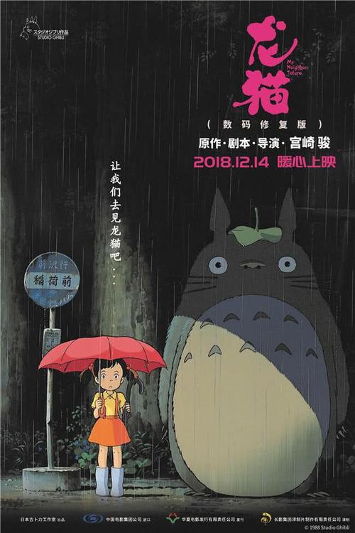 中央护理学院Mediadiploma